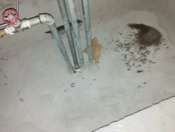 齐齐哈尔市卫生间测漏水价格明细